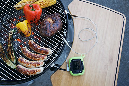 Outdoorchef Grillzubehör, Gourmet Check, grün, 8,7x2,8x10,7 cm, 14.491.34 - 2